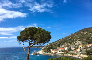 Küste von Elba mit unserem Yogaort Seccheto